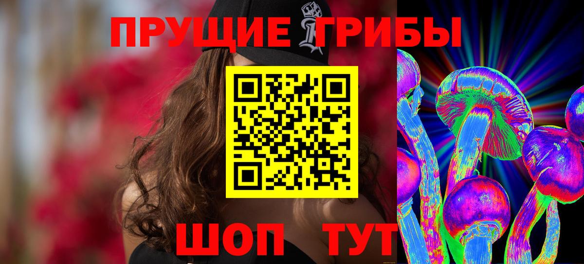 Фролово  наркотики  Вход с VPN  Псилоцибиновые грибы GOLDEN TEACHER 